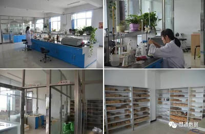 大地肽寶 生物發酵飼料研發的創新突破與應用前景