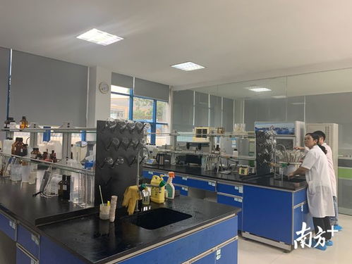 增產(chǎn)20倍，院士專家工作站引領(lǐng)生物飼料研發(fā)革命——聚焦佛山創(chuàng)新驅(qū)動助力工程