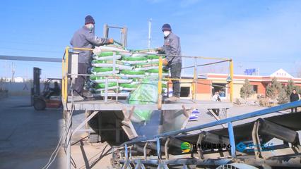 張掖市人民政府推動生物飼料研發，助力農業綠色發展