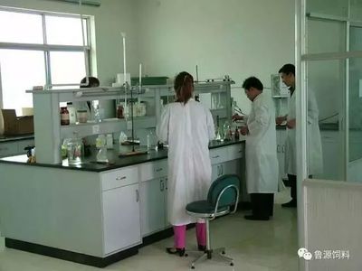 《蛋雞福星》預混料 網絡直銷助力高效養殖，生物科技引領健康新篇