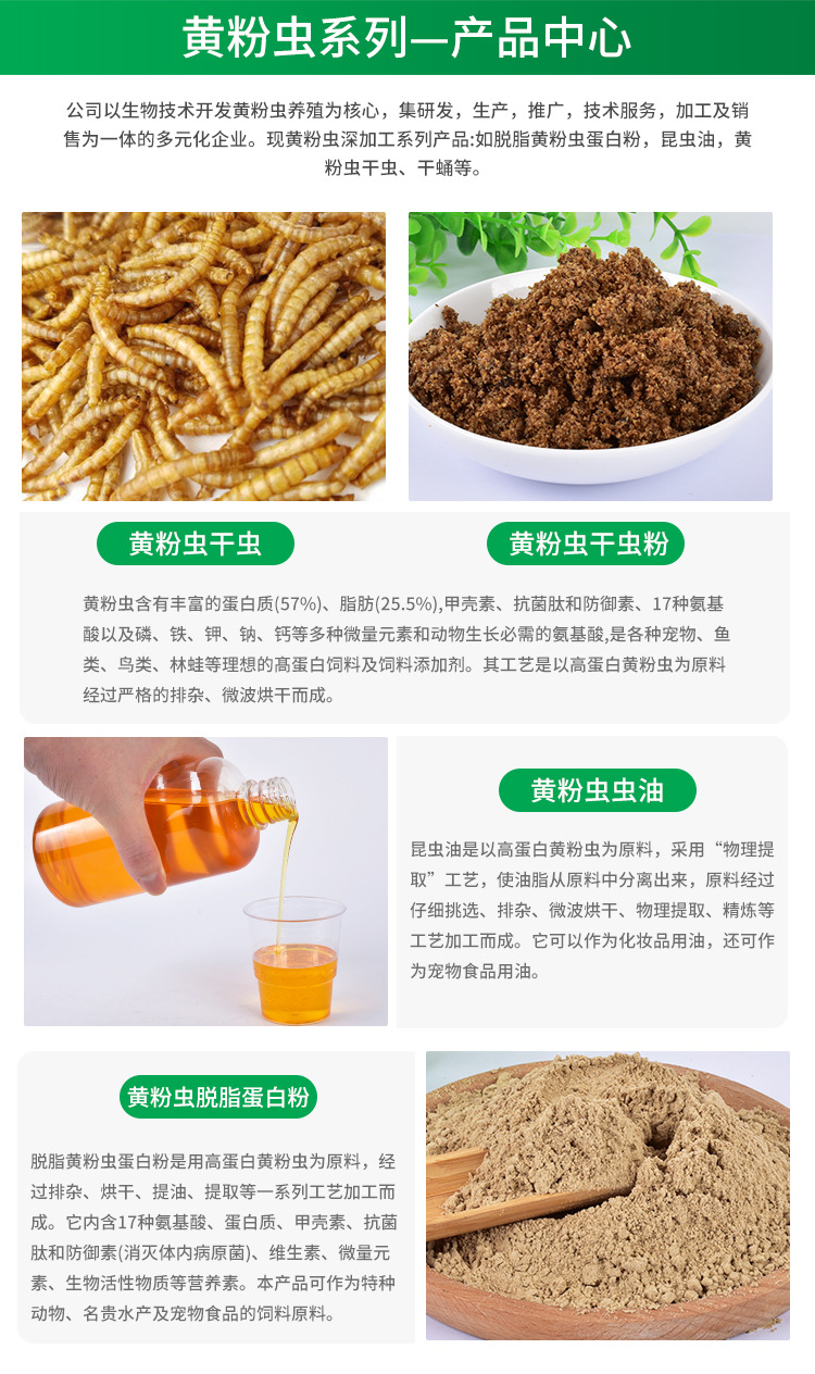 面包蟲干 小身材大營養，一站式全寵物營養解決方案